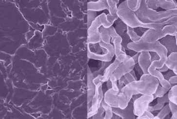 Sodium battery technology paving  the way for a faster, better and stronger future