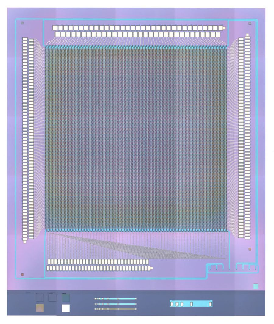 Microscopic image showing the fabricated FPSA chip, including grating antennas with column-selection switches. Image by Kyungmok Kwon, UC Berkeley