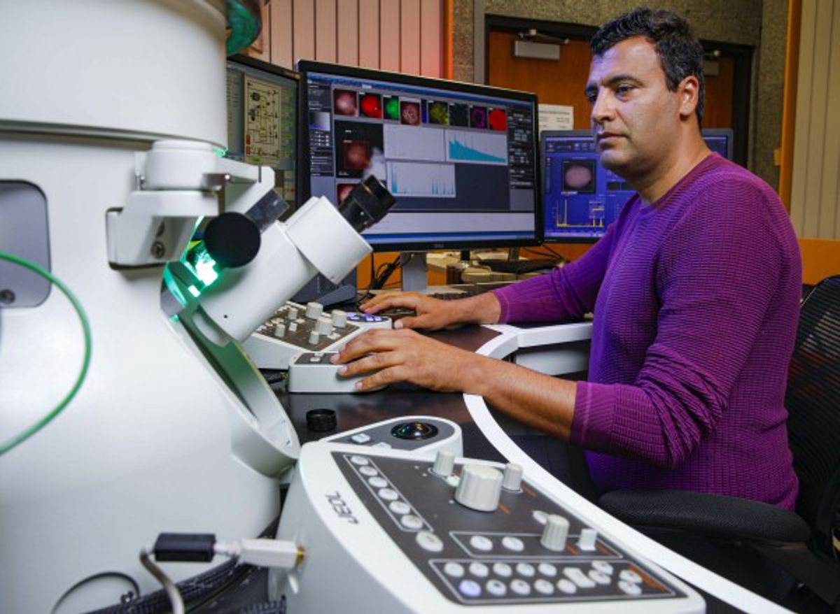 UIC College of Engineering Professor Reza Shahbazian-Yassar with the ARM microscope. Credit: UIC College of Engineering
